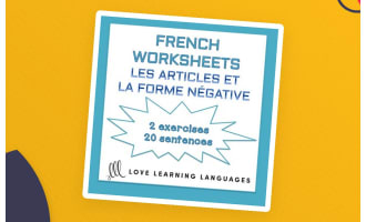 French Articles with Negation Worksheets