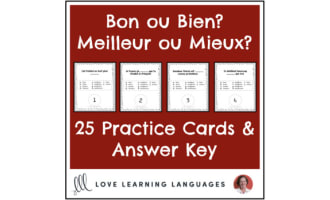 French: Bon ou Bien? Practice Cards