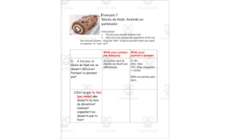 French: Bûche de Noel Christmas in France Partner Questions