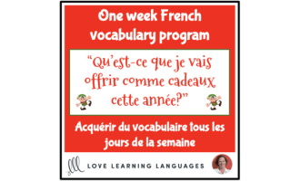 French: Christmas Vocabulary - Activities and Worksheets