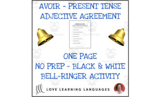 French: Correct the Mistakes Worksheet | Avoir and Descriptive Adjectives