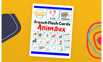 French Flash Cards for Beginners - Farm & Zoo Animals - Animaux