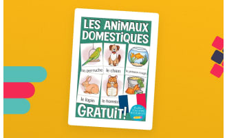 French Flash Cards: Les Animaux Domestiques / Pets