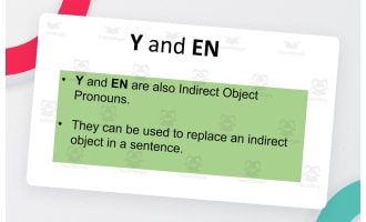 French Grammar – Pronouns Y and EN Practice