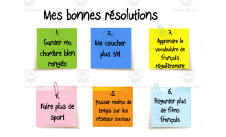 French: Les Bonnes Résolutions- Worksheet
