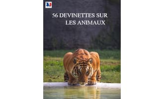 French: Les devinettes des animaux