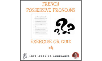 French Possessive Pronouns - Worksheet or Quiz 2 - Distance ...