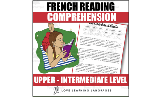 French Reading Comprehension Passage - Engaging Text and Questions - Upper Intermediate Level