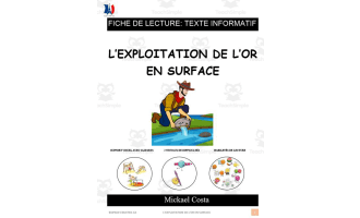 French: Reading comprehension worksheets: Exploitation de l'or en surface