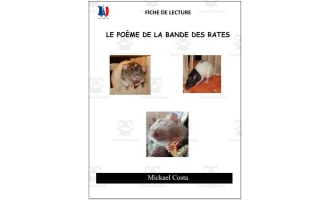 French: reading comprehension worksheets: Le poème de la bande des rates