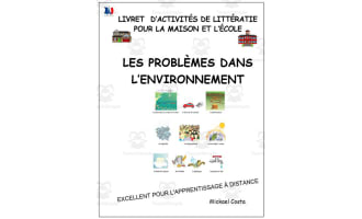 French: Reading comprehension worksheets: Les problèmes dans l'environnement