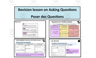 French: Revision Lesson on Asking Questions- Les Questions