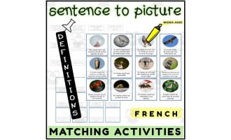 French Sentence to Picture Activities Flashcards 1