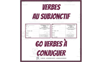 French: Subjunctive Verbs | Conjugation & Writing Practice