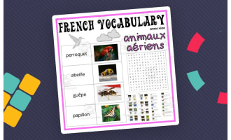 French Vocabulary Flash Cards Crossword Wordsearch Anagram AIR ANIMALS