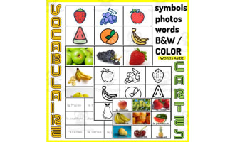 French Vocabulary Match to Sample Memory Boards FRUITS