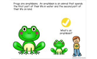 Frog Life Cycle Adapted Book Slide Deck for Special Ed