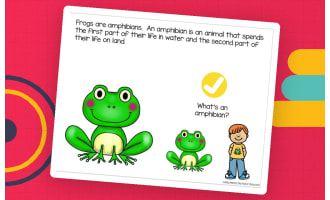 Frog Life Cycle Adapted Book  Slide Deck for Special Ed