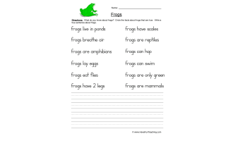 Skin True or False Worksheet by Teach Simple