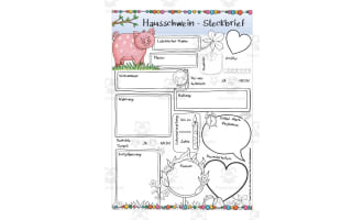 German: Animal Characteristics Worksheet - Domestic Pig Printable