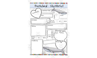 German: Animal Characteristics Worksheet - Humpback Whale Printable