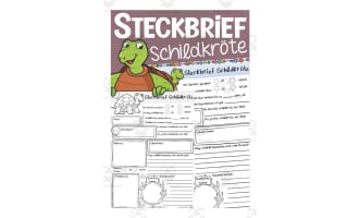 German: Animal Characteristics Worksheet - Turtle Printable
