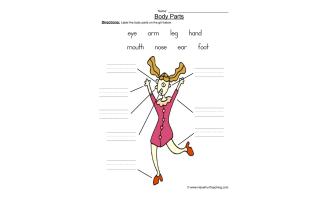 Girl Body Parts Worksheet