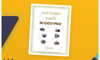 God Created Bugs and Insects Activity Pack