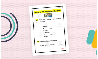 Grade 1 Human and Animals Test