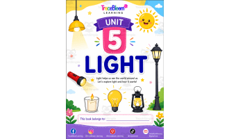 Grade 1 Light & Sound