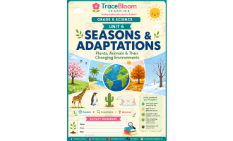 Grade 5 Science Seasons & Adaptations Workbook | Printable activities
