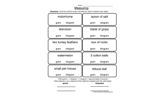 Gram Kilogram Worksheet