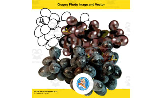 Grapes Photo Image and Vector