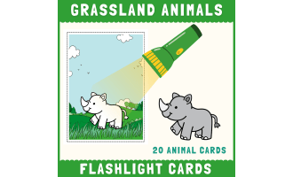 Grassland Habitat animals flashlight cards hidden picture activity