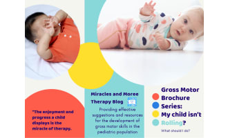Gross Motor Brochure Series: Rolling