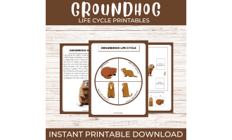 Groundhog Life Cycle | Rodent Woodchuck Science Unit Study & Fun Facts