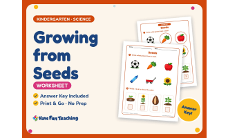 Growing from Seeds Worksheet – Kindergarten Life Cycle & Plants