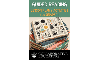 Guided Reading Lesson Plan & Activities for Grade 11