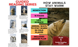 Guided Reading Level H - How Animals Stay Warm (with Lesson Plan)