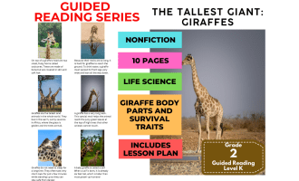 Guided Reading Level K - Tallest Giant Giraffes (with Lesson Plan)