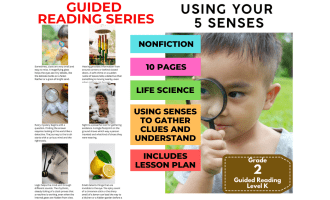 Guided Reading Level K - Using Your 5 Senses (with Lesson Plan)