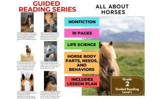 Guided Reading Level L - All About Horses (with Lesson Plan)