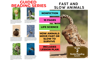 Guided Reading Level L - Fast and Slow Animals (with Lesson Plan)