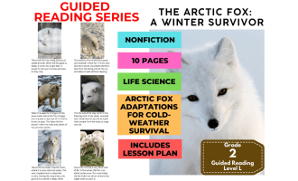 Guided Reading Level L - The Arctic Fox (with Lesson Plan)