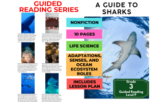 Guided Reading Level P - A Guide to Sharks (with Lesson Plan)