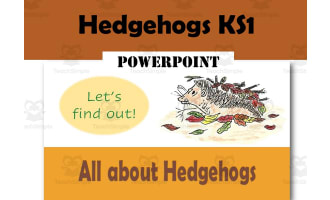Hedgehogs: Kindergarten Science Project: Presentation