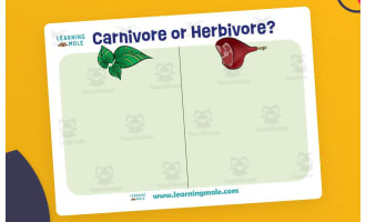 Herbivore and Carnivore Dinosaurs – Sorting Activity