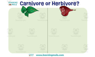 Herbivore and Carnivore Dinosaurs – Sorting Activity