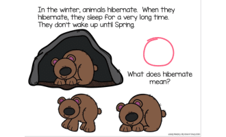 Hibernation Adapted Book Slide Deck