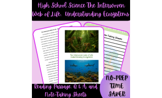 High School Science: Understanding Ecosystems Reading Passage